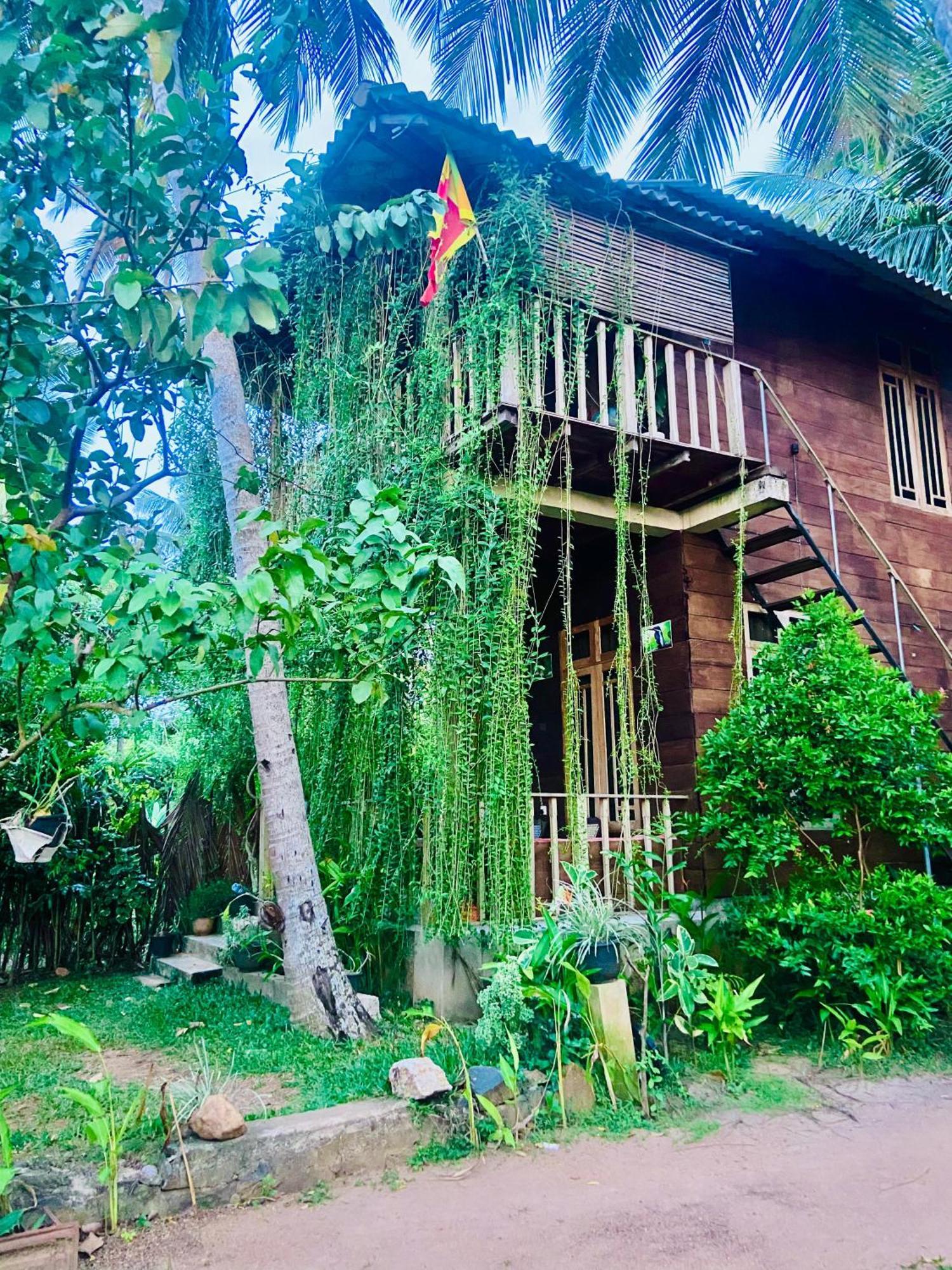 Coconut Island Yala Hotel Tissamaharama Bagian luar foto